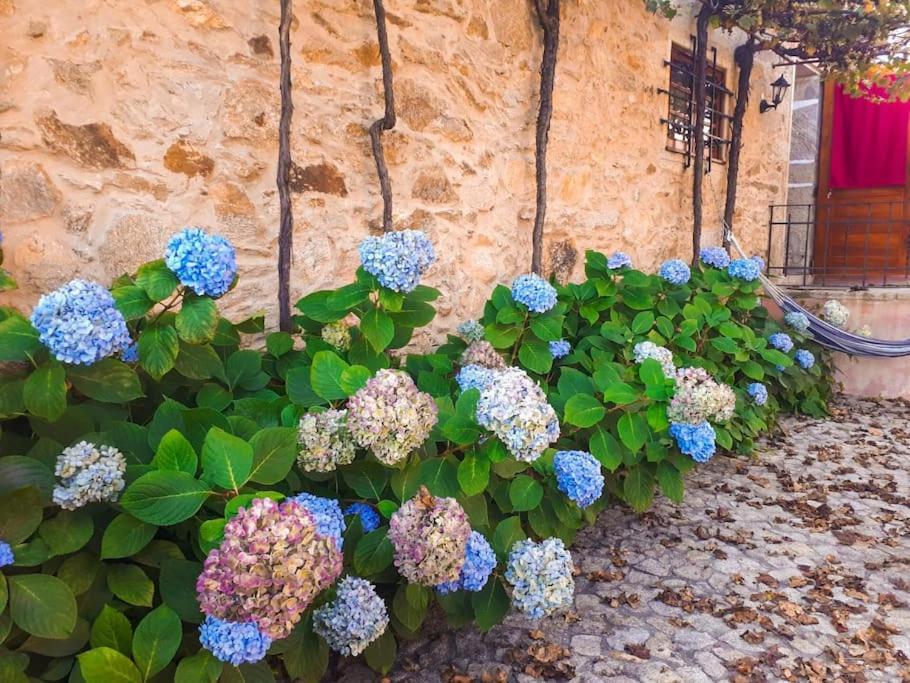 Quintinha De Santiago Villa Oliveira de Azemeis Exteriör bild